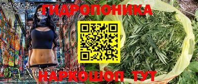 стаф Анапа
