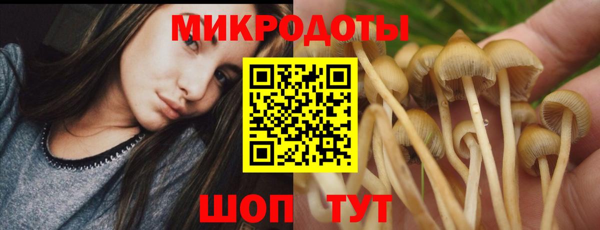 Галлюциногенные грибы ЛСД  Галлюциногенные грибы Psilocybine cubensis  Курчалой  Вход с VPN 